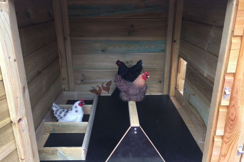 Kippenhok Leghorn dubbel met overdekte ren Kippenren Specialist